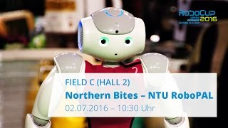 [RoboCup 2016] SPL: Northern Bites - NTU RoboPAL