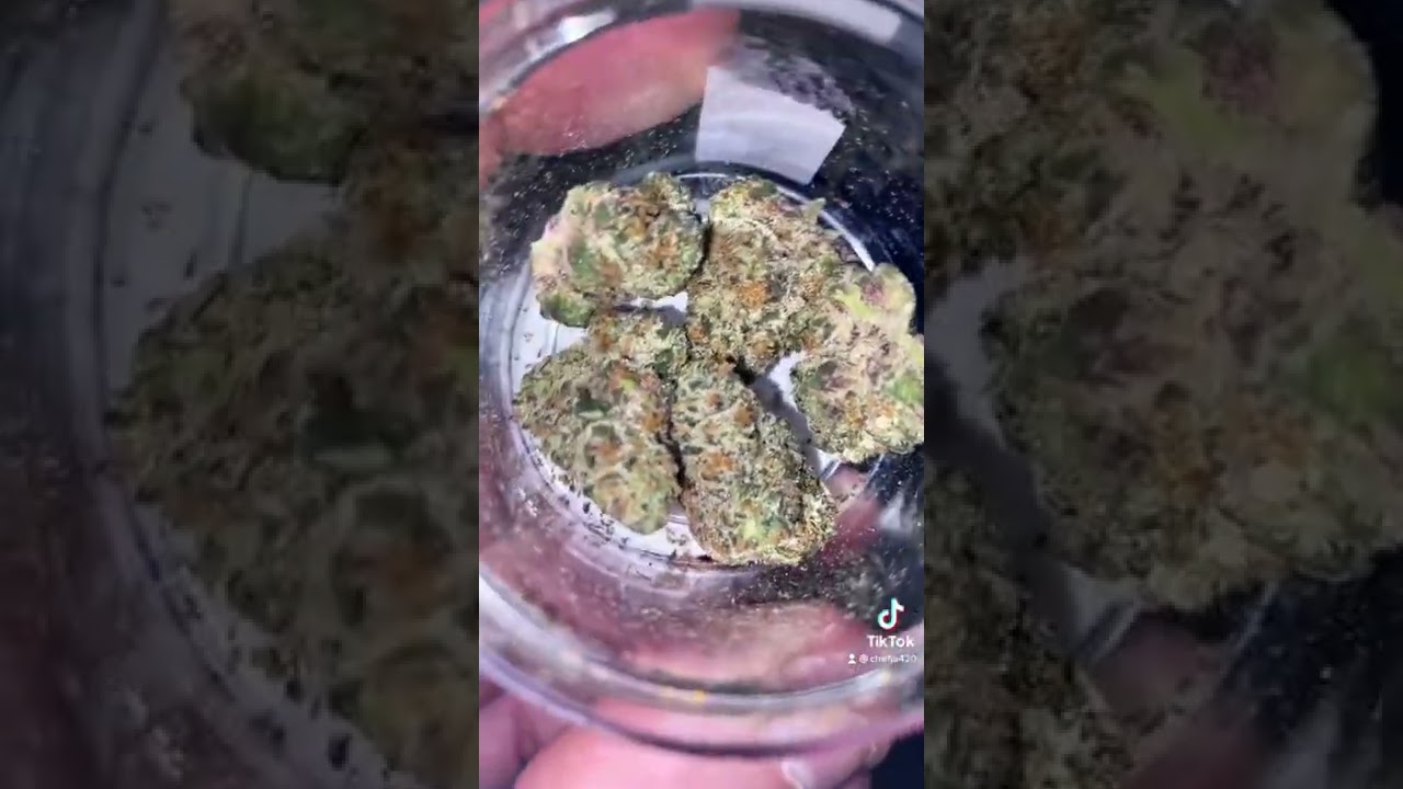 Garlic breath 2.0 buckeye relief