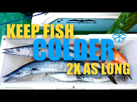 Make your YETI ICE last 2X AS LONG | Into the Blue
