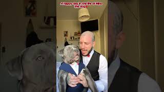 A happy day for Mino #pitbull #bestfriend #pitbulllove #cutepitbull #lovestory #cutedog #cute