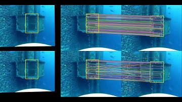 Homography observer for image stabilization in underwater environment