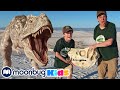 Giant T-Rex Dinosaur vs Park Rangers | BEST OF @TRexRanch | Explore With Me!