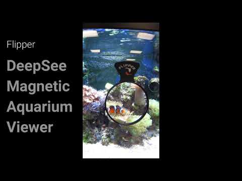 Flipper DeepSee Magnetic Aquarium Viewer from MarineAndReef.com