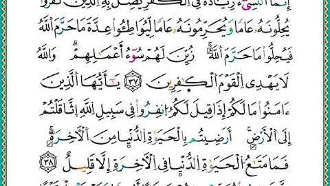 ختمة مصحف التجويد برواية الدوري الصفحة رقم 193