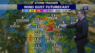 Storm Tracker Forecast - Mild Mid-November Weather With Gusty Wind Coming
