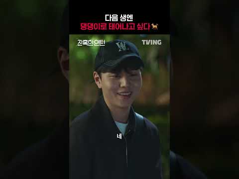 [잔혹한 인턴] 개 부럽다 🐶｜#shorts｜TVING