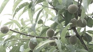 Download Lagu 3 минуты назад MP3