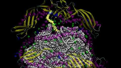 A cholesterol ester entering CETP through the C-terminal tunnel opening, ACT 1