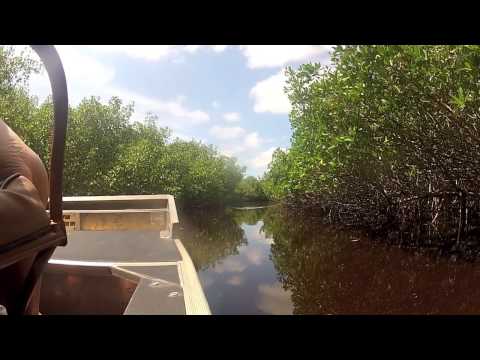 Everglades - Scary