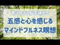 【脳の疲労低減 瞑想】今を感じるマインドフルネス/ オープンモニタリング観察瞑想