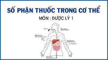 Số phận thuốc trong cơ thể - Ths. Hồ Thị Thạch Thúy | Bài Giảng Dược Lý Đại Cương