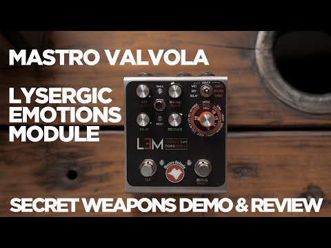 Mastro Valvola Lysergic Emotions Module Delay  | Secret Weapons Demo and Review