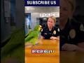 Parrot lover funny parrot comedy parrot short parrot