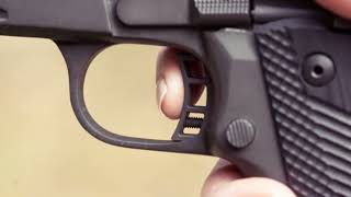 HANDGUN TRIGGER PULL EMPTY | LISCENCE FREE | ROYALTY FREE MUSIC | BAD LUCK MONSTER