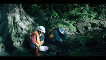 Ground Rules - Chapter 1