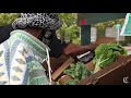 Taking the Lead: Black Panther Activist Provides Food To North Oakland Community