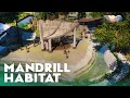 Mandrill Habitat - Yosemite Valley - Planet Zoo Sandbox Zoo