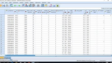 Emily  tutorial SPSS
