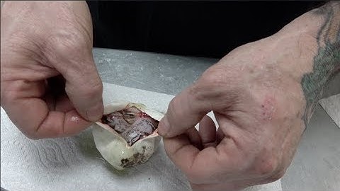 Clown Combo And Freeway Egg Cutting !!