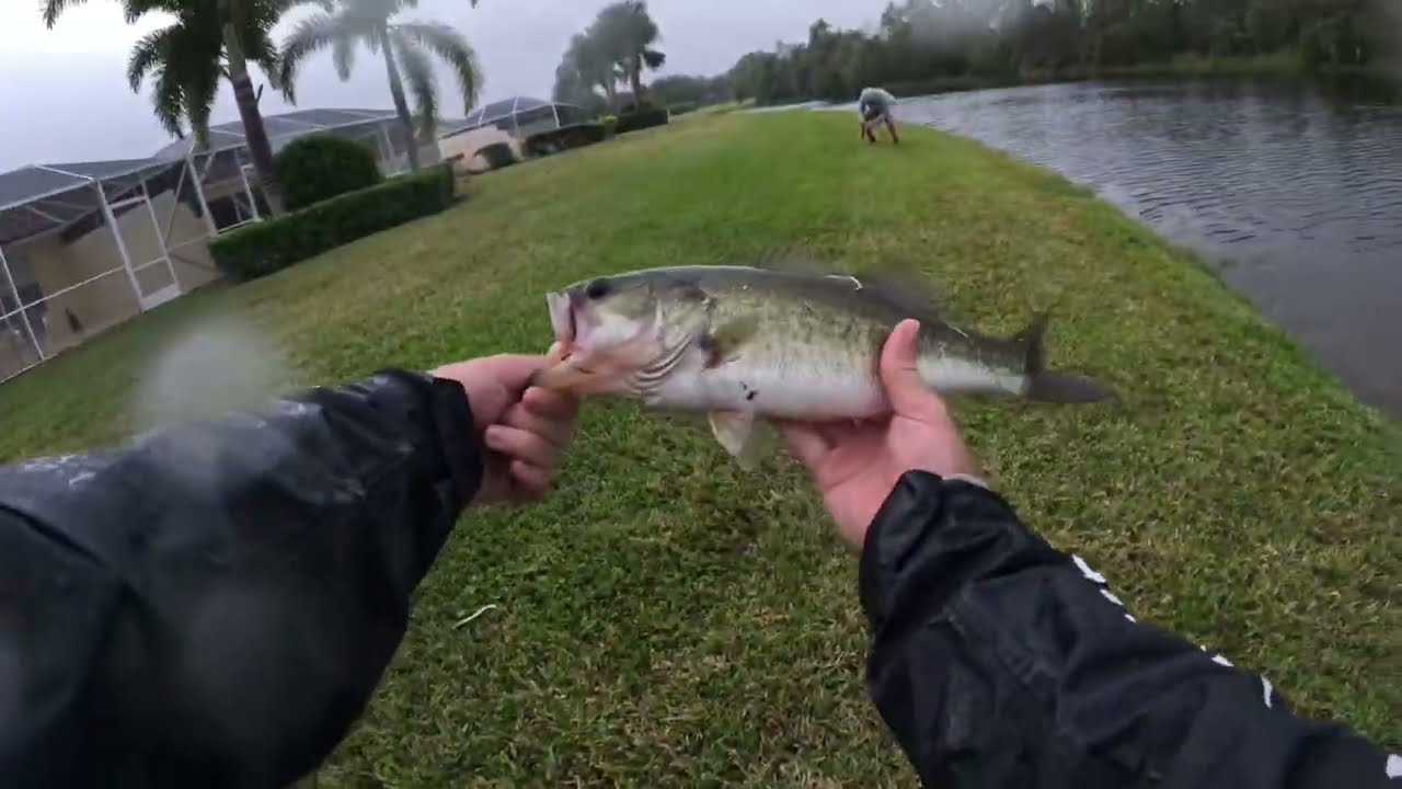Pond Hopping South Florida For Big Bass!