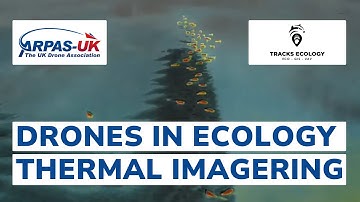 Drones in Ecology - Thermal Imaging - TRACKS ECOLOGY