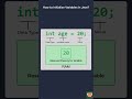 How to Initialize Variables in Java? (Java Variables)