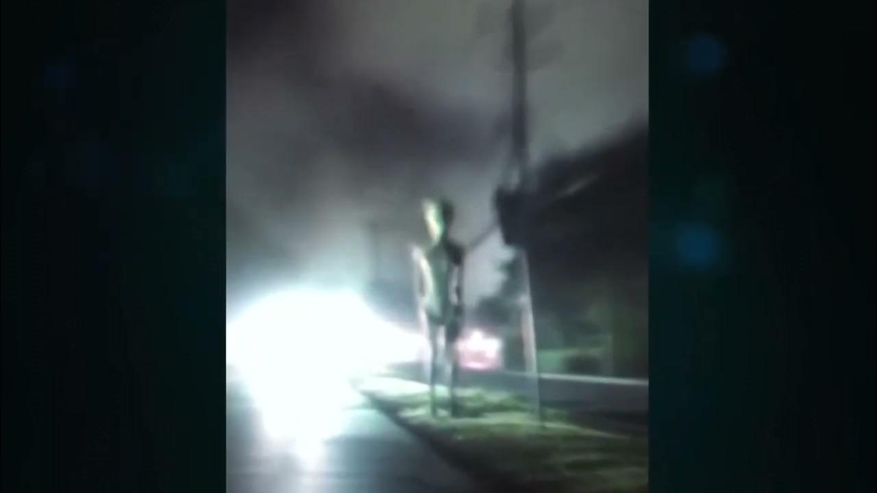 Extraterrestre de Miami nueva imagen YouTube