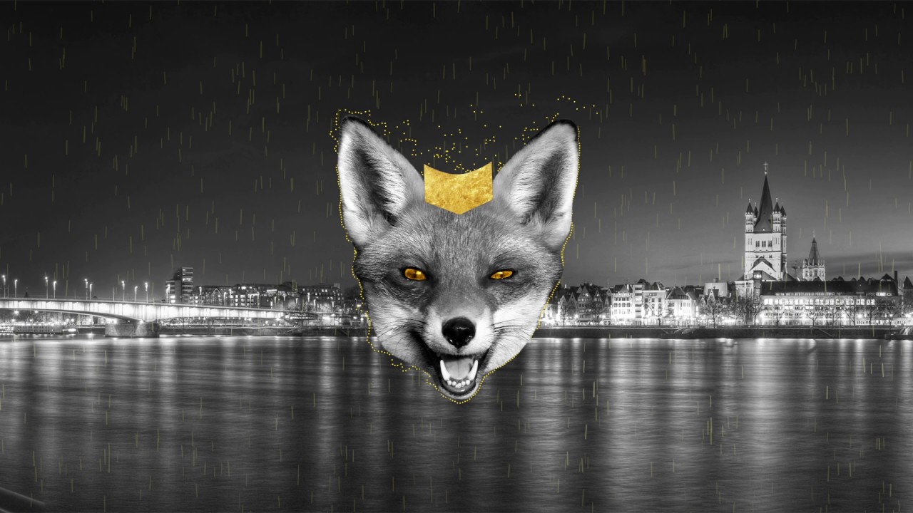 Back & Forth Now Trough | SMYG