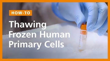 How to Thaw Frozen Human Primary Cells