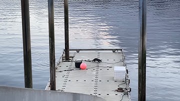 Otter drowner set and mink trapping