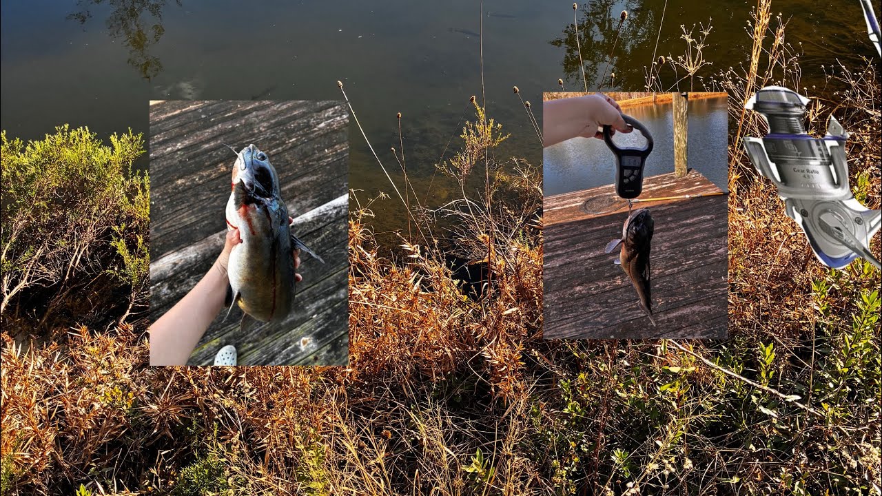 Catching a big fish to start off the year 