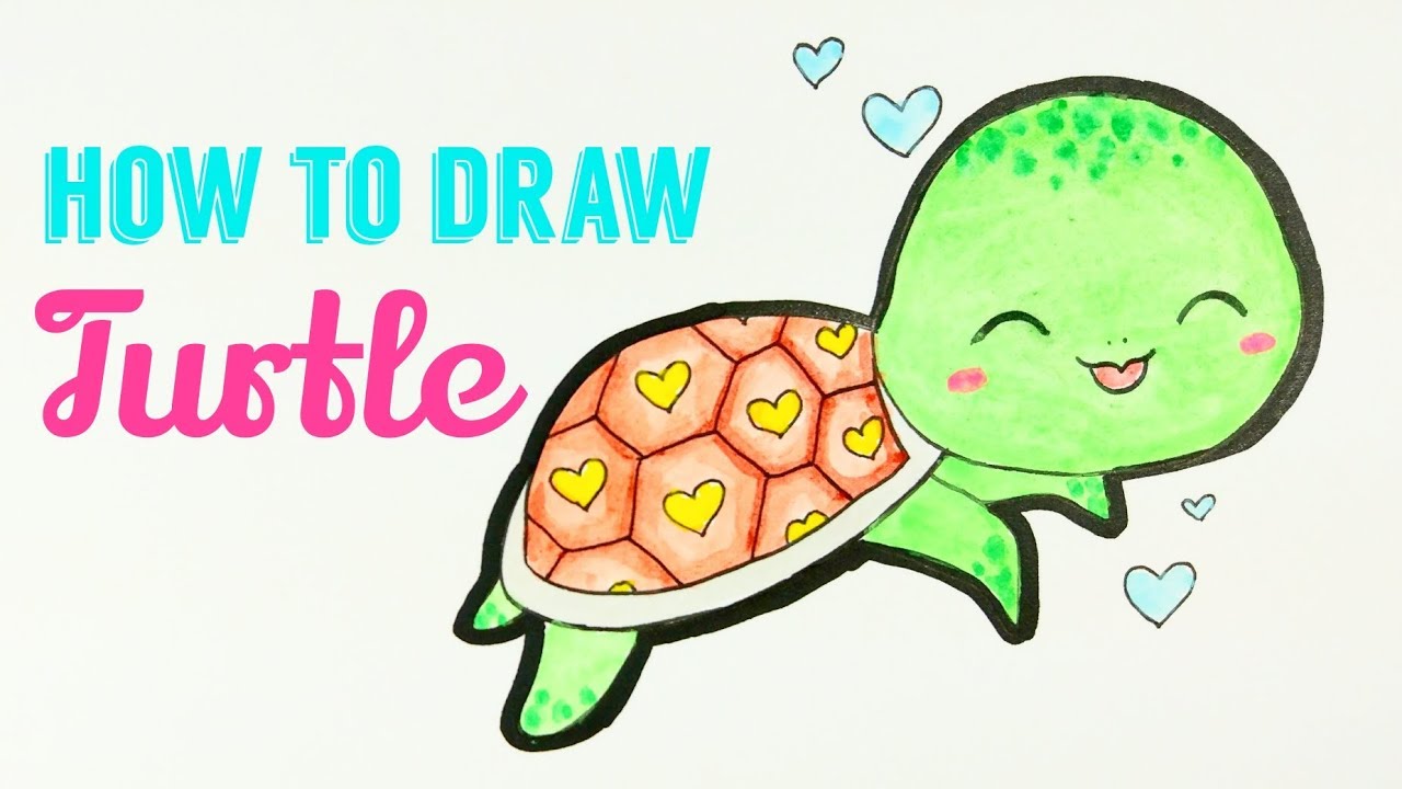 how to draw a cute turtle