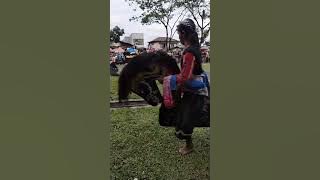 MAME CHANNEL  live Lap Tenjo Kemutug Lor Baturaden. Janturan Ebeg Tunggul Wulung #ebegbanyumasan