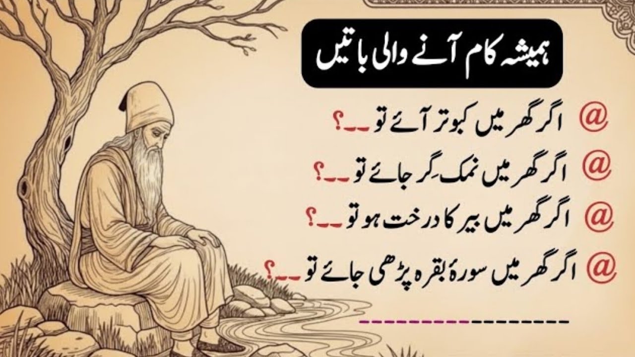 Kaam ki Baten | Hidden Islamic Signs in Daily Life | Powerful Islamic Facts & Wisdom | Urdu Quotes