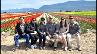 LAKELAND FLOWERS - ABBOTSFORD TULIP FESTIVAL 2025