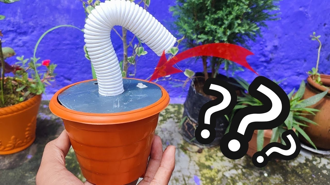 How to make Talking cactus🌵|| घर में बनाये dancing cactus🔥🔥