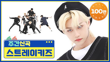 [주간아 미방] 그들만의 소리로 가득 채운 여덟 꾼들! 스트레이키즈(Stray Kids)의 