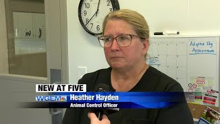 Pike County Animal Shelter in need of donations