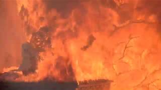 See how quickly a dry Christmas tree can burn