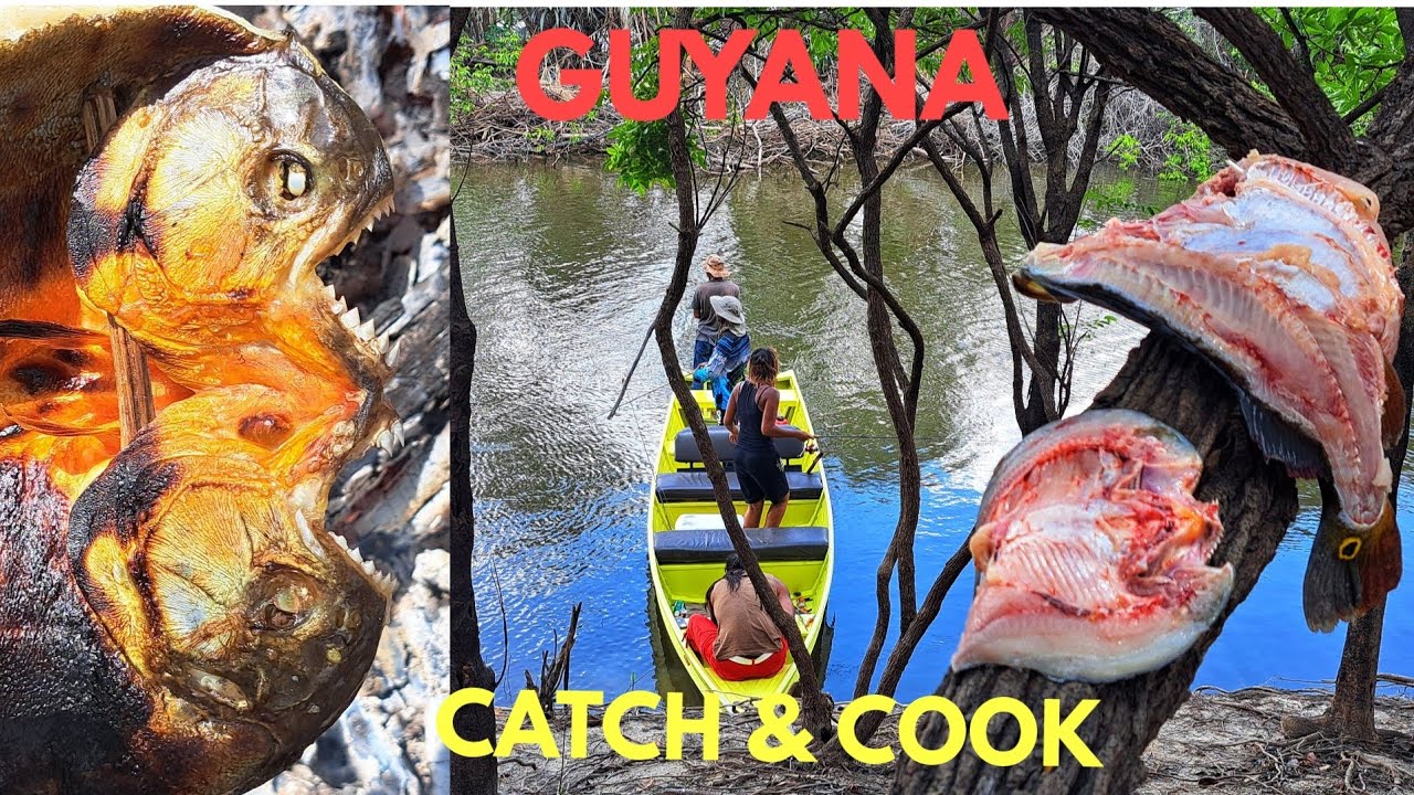 GUYANA'S WILD SIDE the RUPUNUNI RIVER (catch & cook)