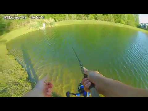 Carolina Bass Fishing - YouTube