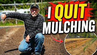 Why I Stopped Mulching My Garden