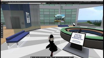 A Visit to Second Life