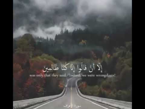 فلنسألن الذين أرسل إليهم ولنسألن المرسلين سعد الغامدي حالات واتس اب دينية قرآن