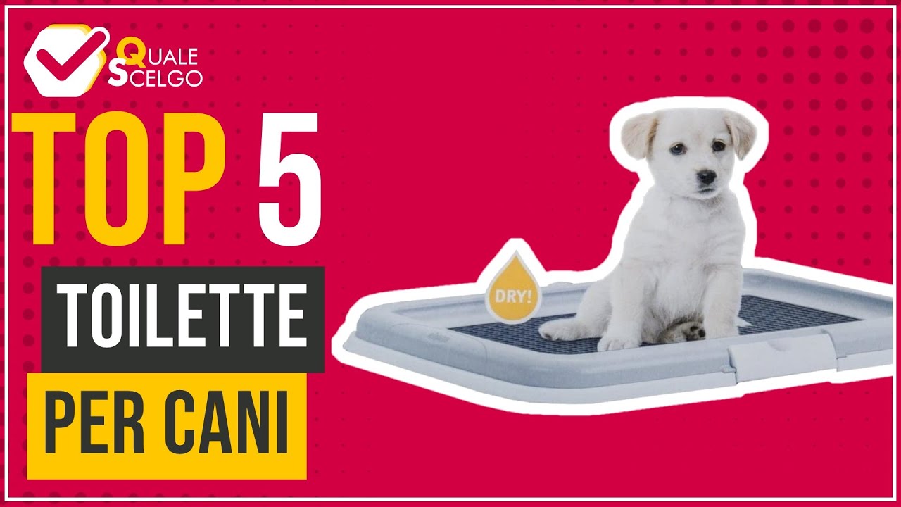 Toilette per cani - Top 5 - (QualeScelgo) 