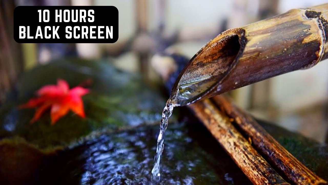 Shishi Odoshi in Japanese Zen Garden on Rainy Day | 10 Hours | Black Screen | Relaxing Sounds