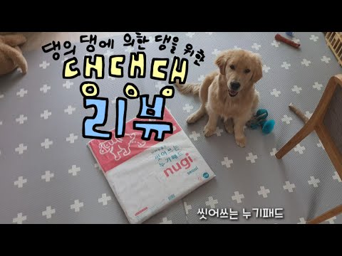 강아지 패드 누기패드 리뷰 ( 씻어쓰는 소대변 패드 )