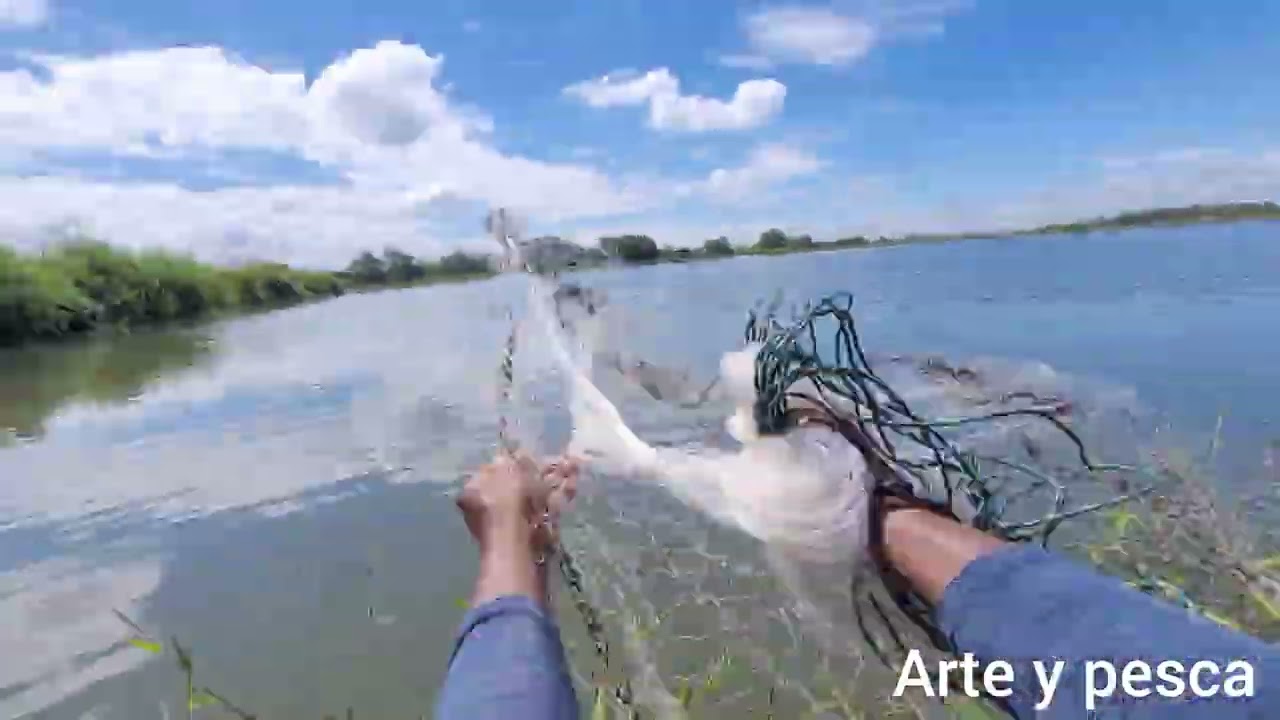 Como lanzar la atarraya bastante lejos 
