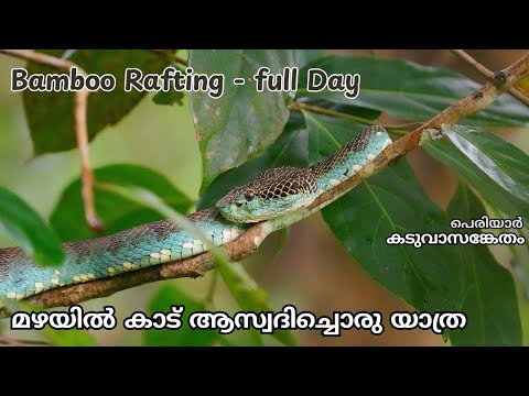 കാടും മഴയും | മനസിനെ ശാന്തമാക്കുന്നൊരു യാത്ര | Deep Forest Trekking | 2025