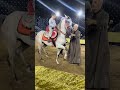 المعلم كرم سرحان مدرسه الادب خيل عربي 
